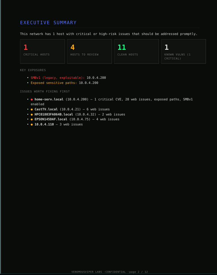 ViperDen PDF Report